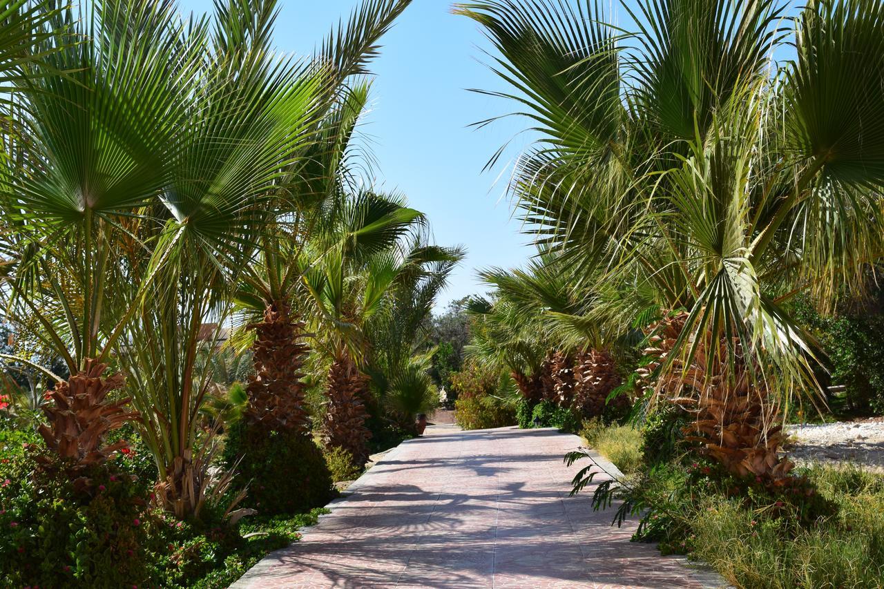 Mangrove Bay Resort El Qoseir Exterior photo